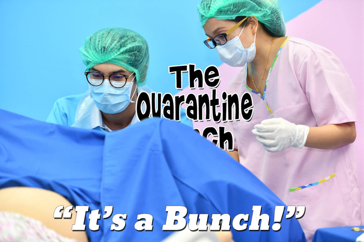 The Quarantine Bunch is Born